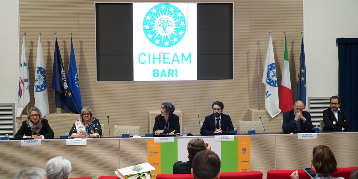 Agreed, un nuovo sistema di droni e satelliti previene le fitopatologie